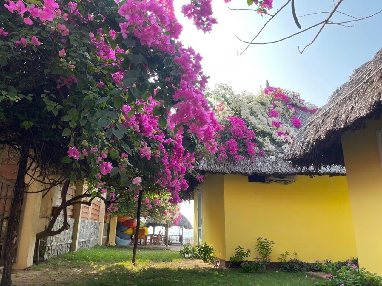 Orchid Boutique Beach Resort Phan Thiet Luaran gambar