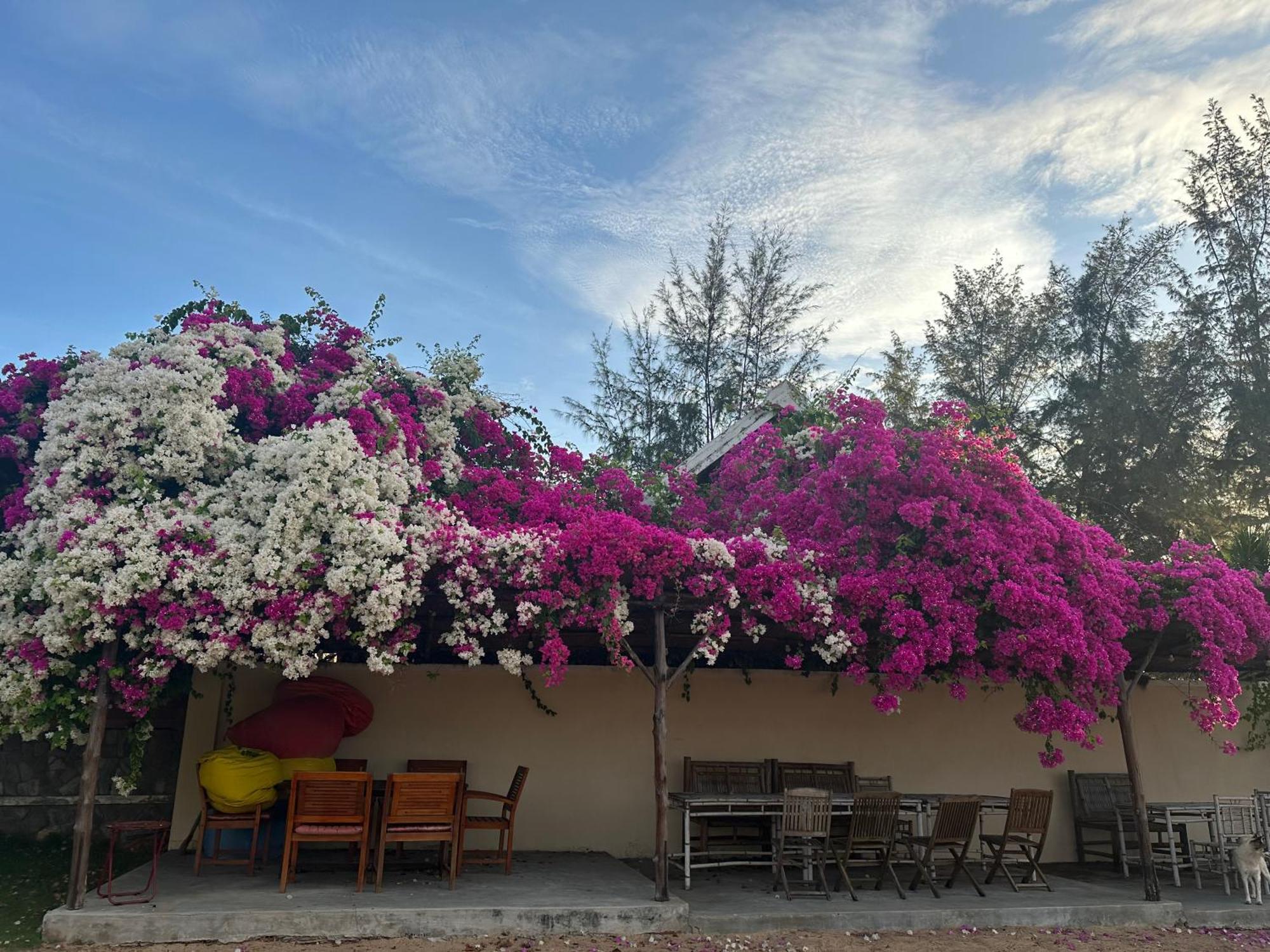 Orchid Boutique Beach Resort Phan Thiet Luaran gambar