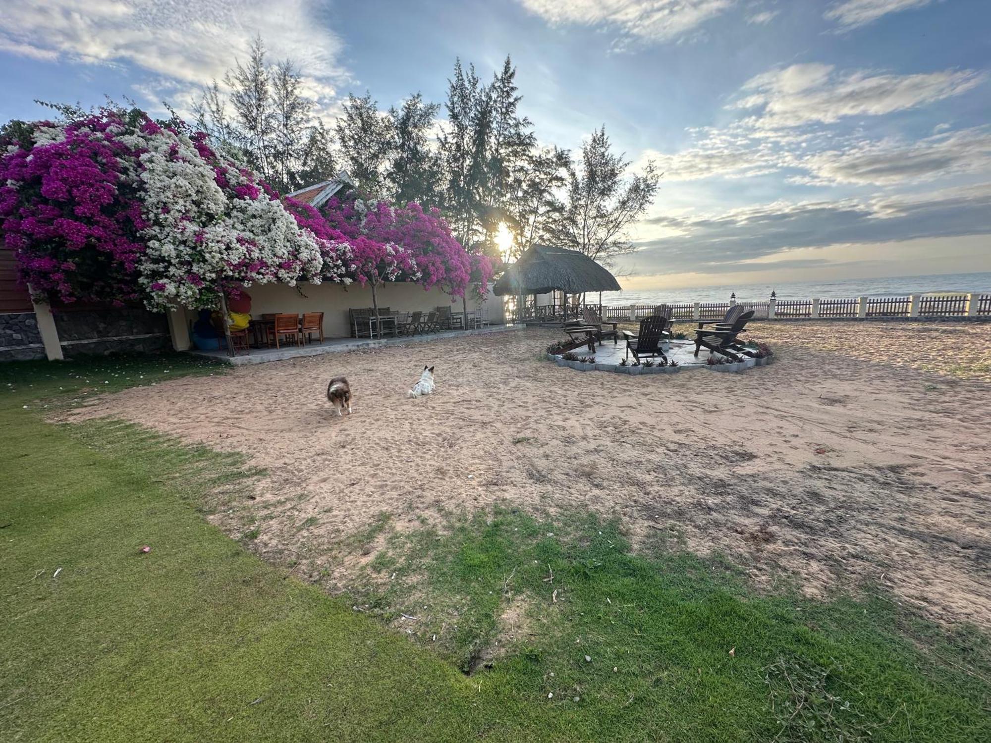 Orchid Boutique Beach Resort Phan Thiet Luaran gambar
