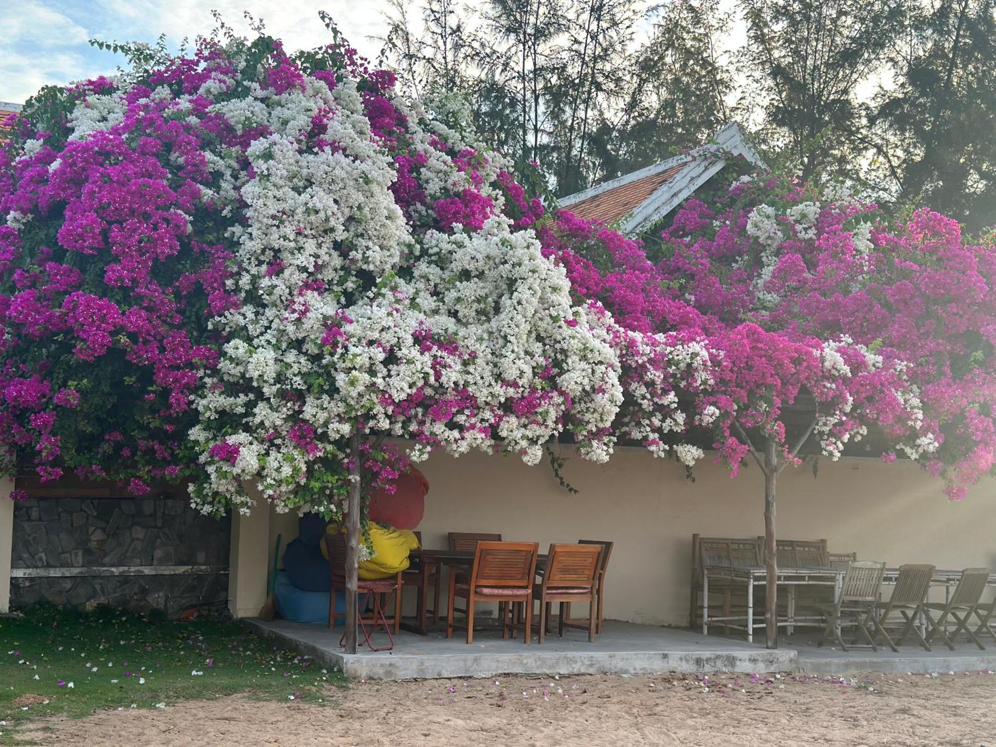 Orchid Boutique Beach Resort Phan Thiet Luaran gambar